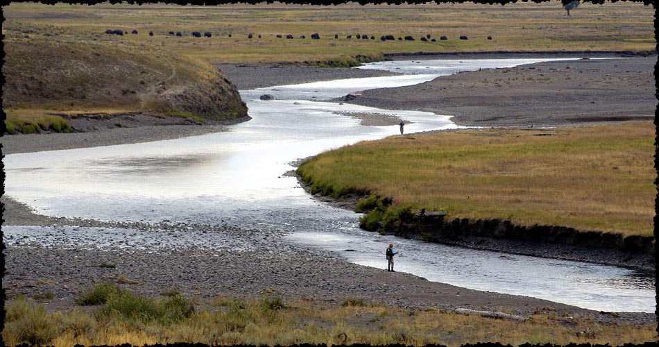 Territory Anglers' Fly Fishing Rates